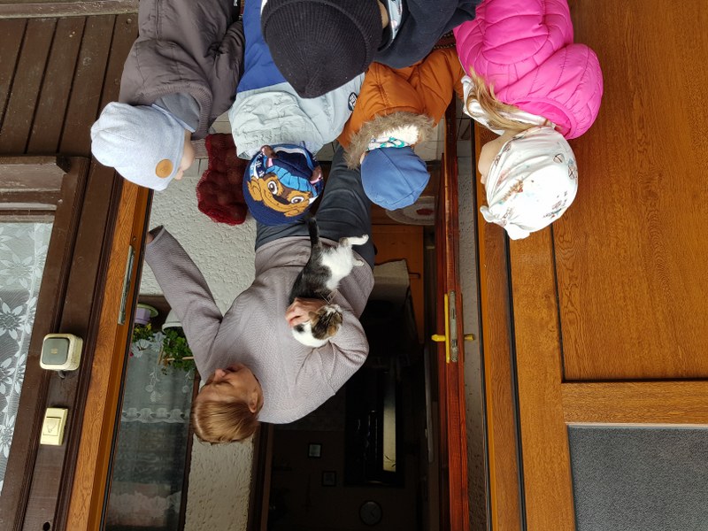 20251027 103510 800x600